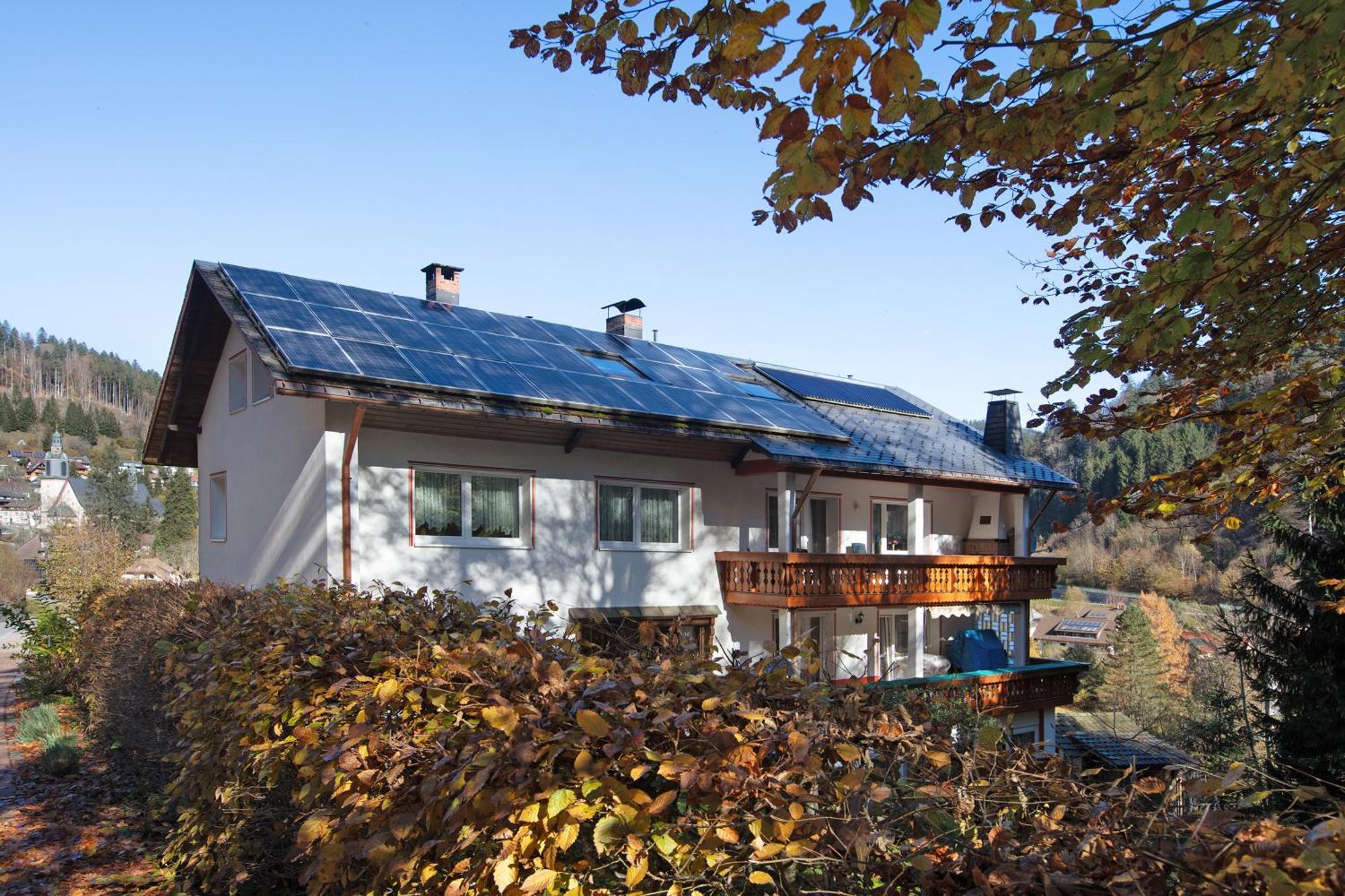 Haus Monika Todtmoos Exterior foto